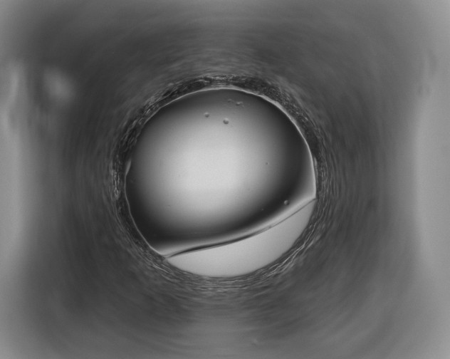 X0000116341253200912091102