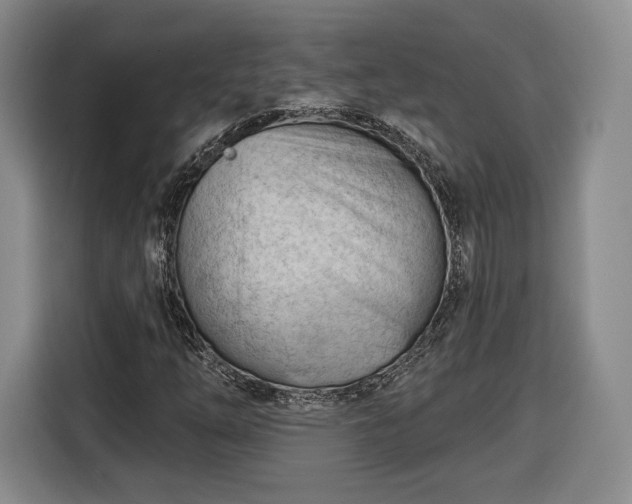 X0000116341254200912091102