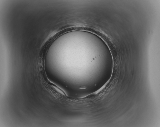 X0000116341255200912091102