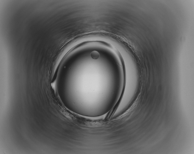 X0000116341257200912091102