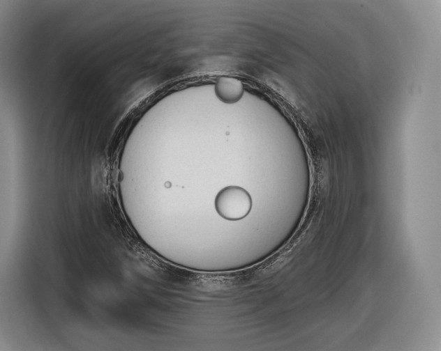 X0000116341258200912091102