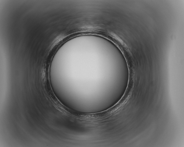 X0000116341259200912091102