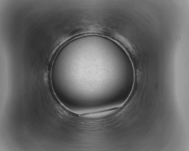 X0000116341260200912091102