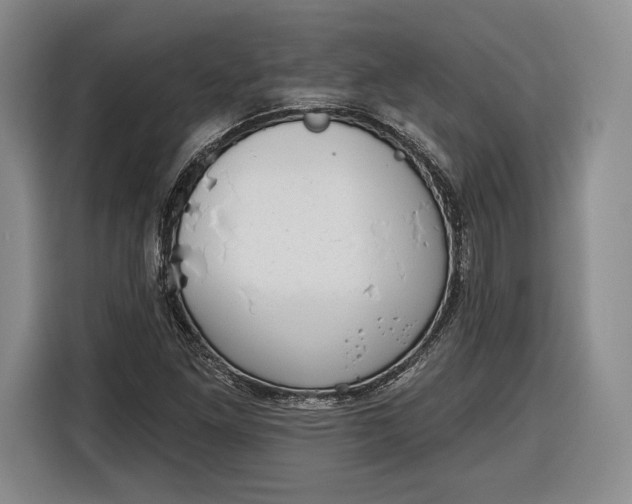 X0000116341261200912091102