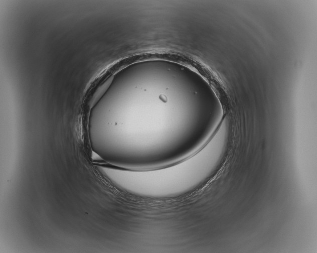 X0000116341262200912091102