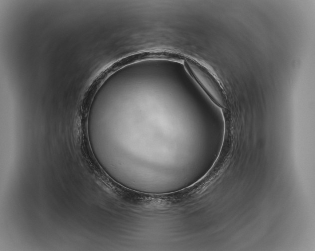 X0000116341263200912091102