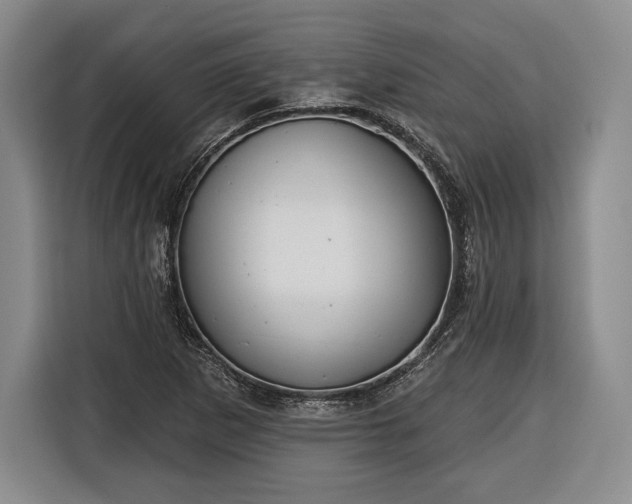 X0000116341265200912091102