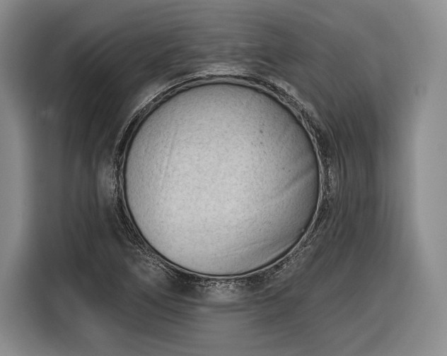 X0000116341266200912091102