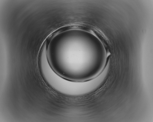 X0000116341268200912091102