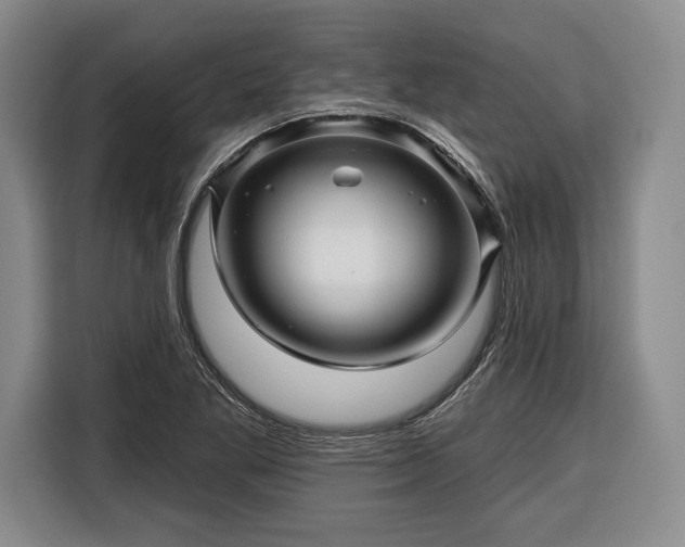 X0000116341269200912091102