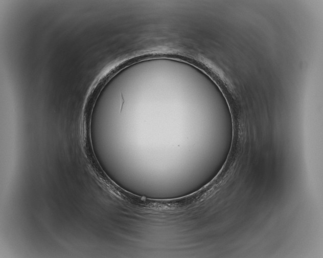 X0000116341270200912091102