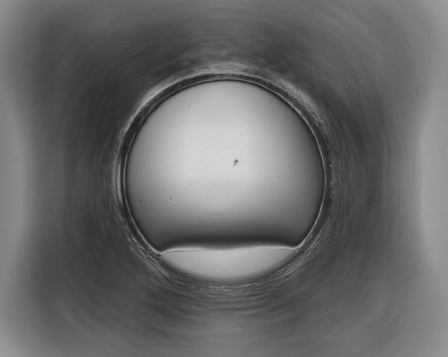 X0000116341272200912091102