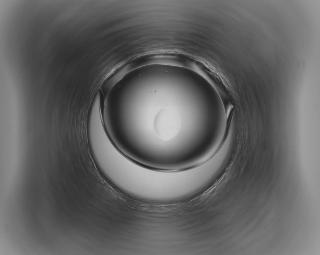 X0000116341273200912091102