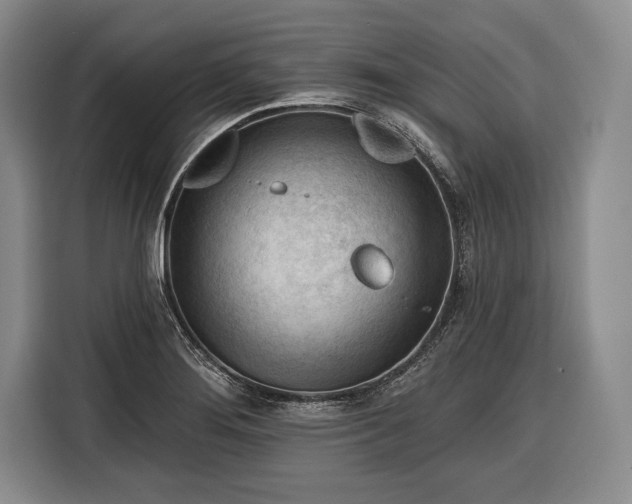 X0000116341276200912091102