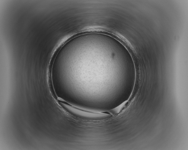 X0000116341277200912091102