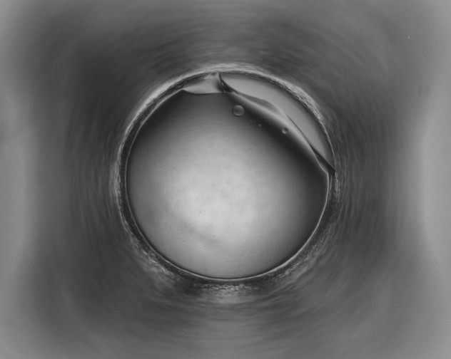 X0000116341279200912091102