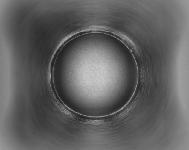 X0000116341280200912091102