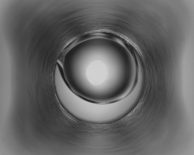 X0000116341281200912091102