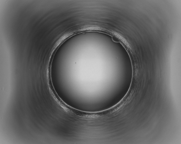 X0000116341282200912091102