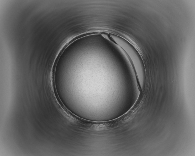 X0000116341283200912091102