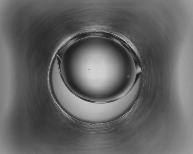 X0000116341285200912091102