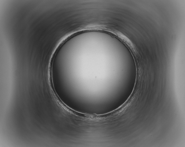 X0000116341288200912091102