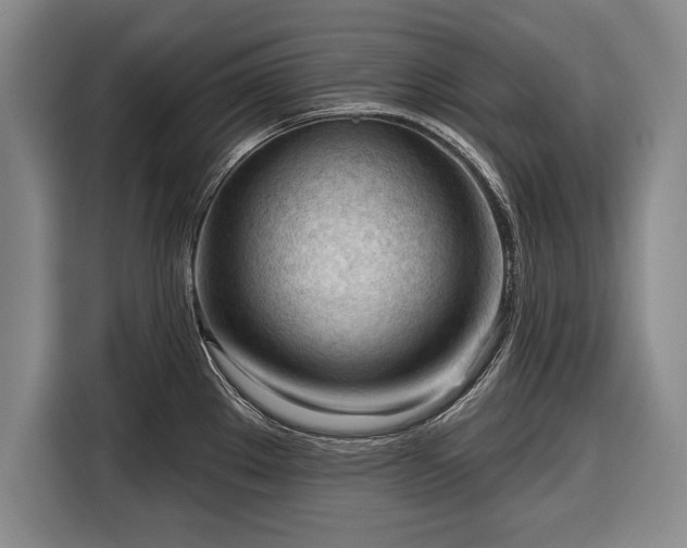 X0000116341289200912091102