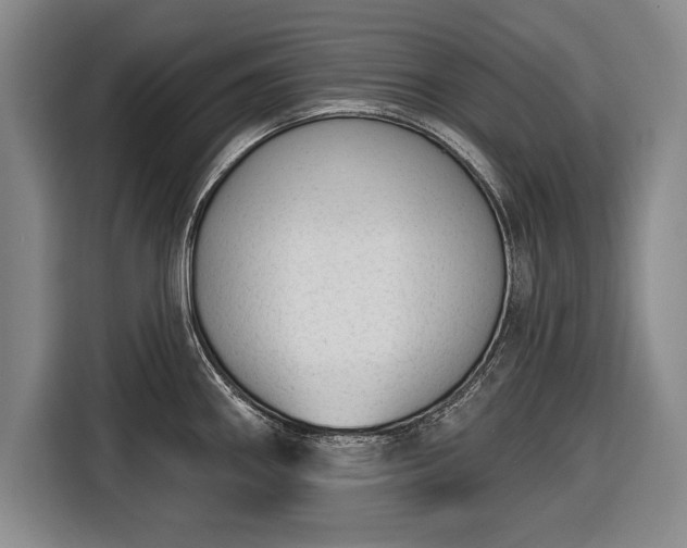 X0000116341290200912091102