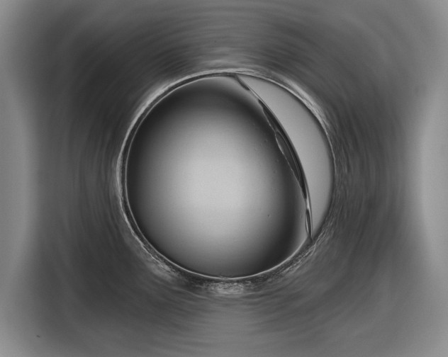 X0000116341291200912091102