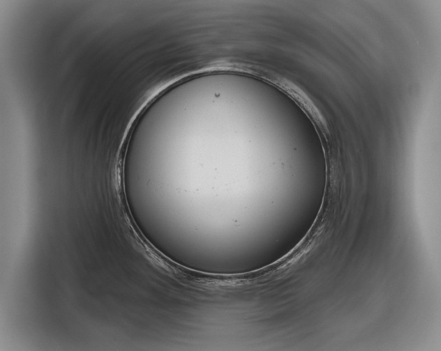 X0000116341292200912091102