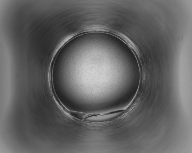 X0000116341293200912091102