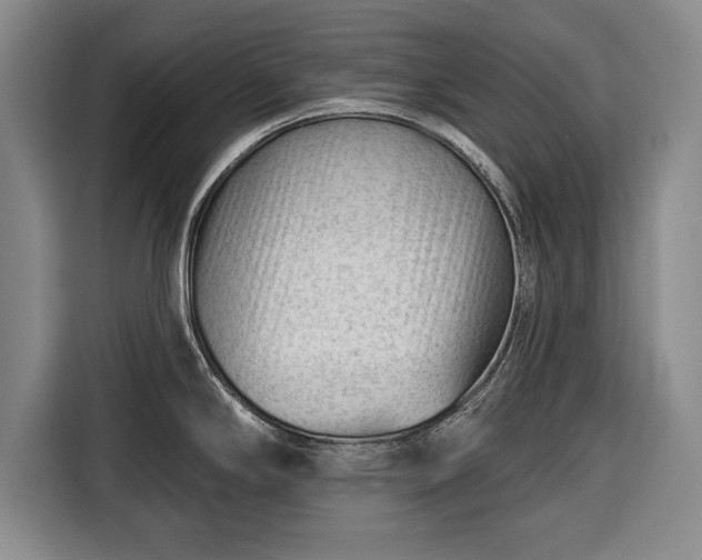 X0000116341294200912091102