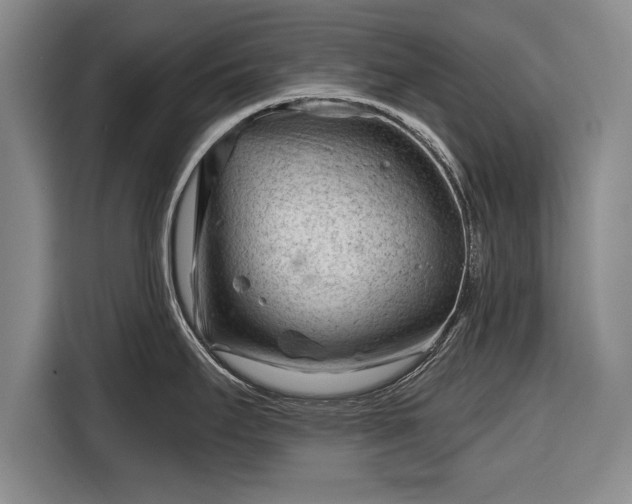 X0000116341295200912091102