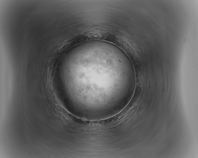 X0000116341297200912091101