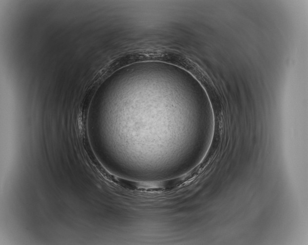 X0000116341298200912091101