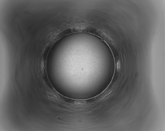 X0000116341299200912091101