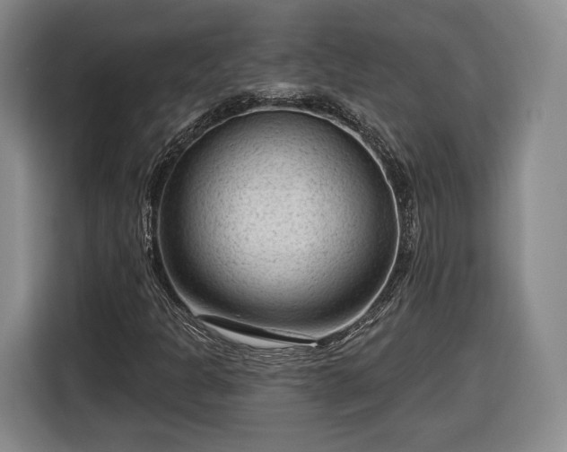 X0000116341301200912091101