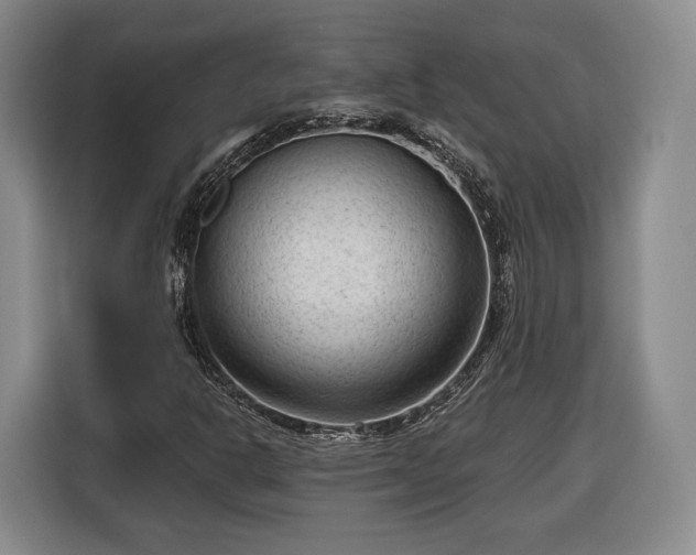 X0000116341302200912091101