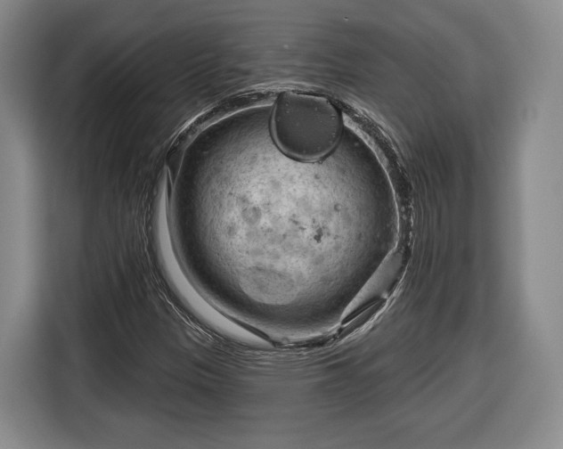 X0000116341305200912091101