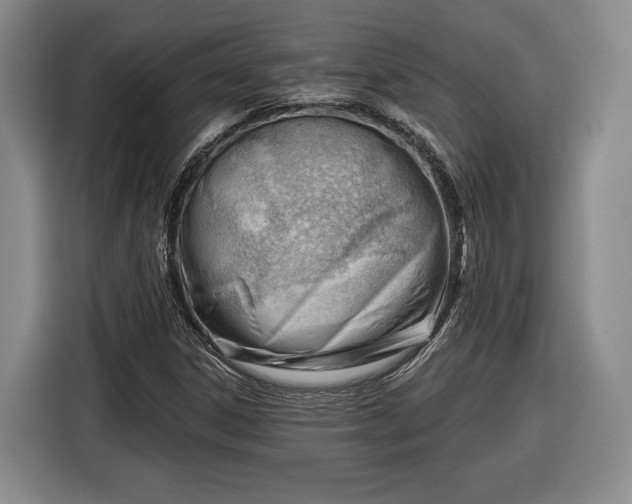 X0000116341306200912091101