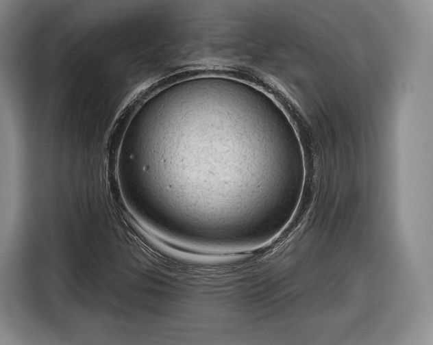 X0000116341307200912091101