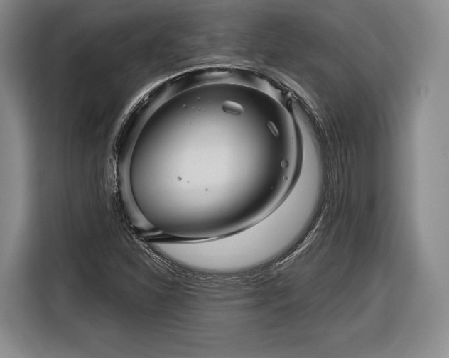 X0000116341310200912091101