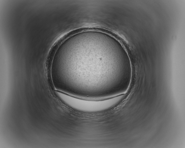 X0000116341311200912091101