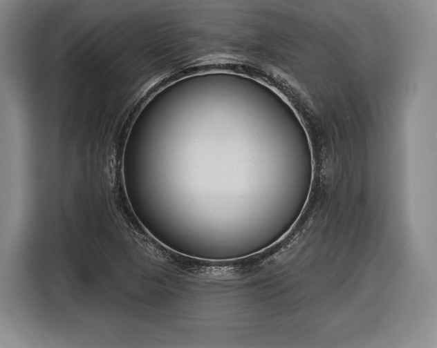 X0000116341313200912091101