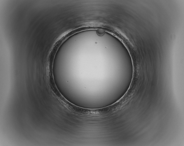 X0000116341315200912091101