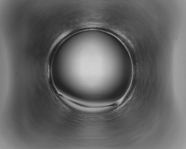 X0000116341317200912091101