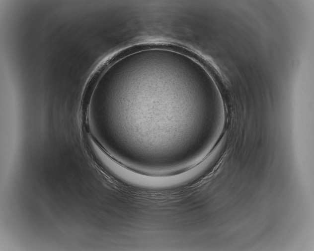 X0000116341319200912091102