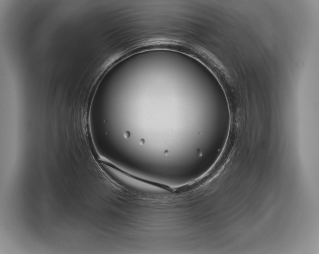 X0000116341321200912091102