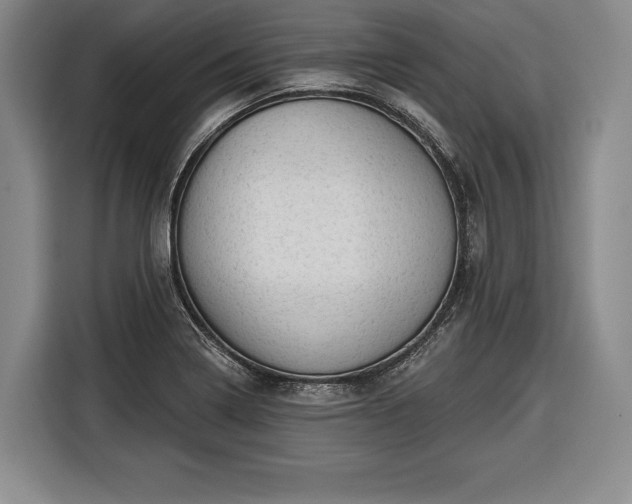 X0000116341322200912091102