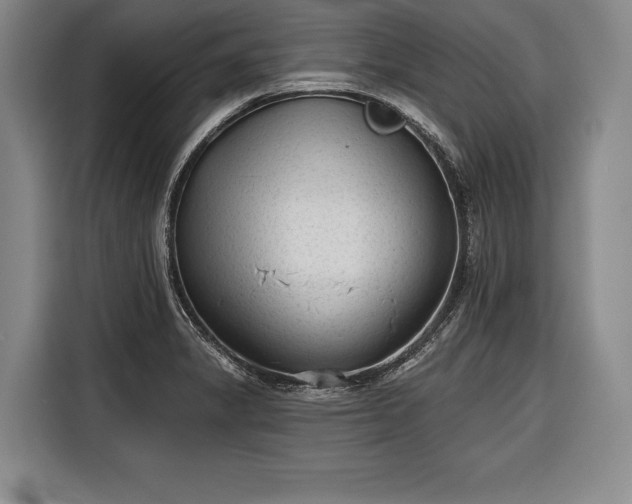 X0000116341325200912091102